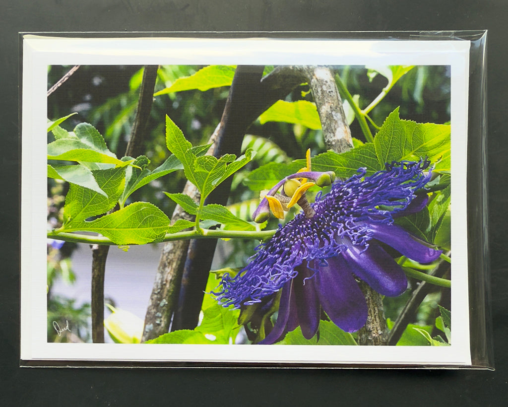 Passion Flower 5x7 Art Photo Card on River Linen Paper