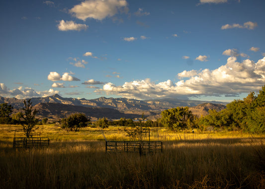 Golden Field Ranch 5x7 Photo Card