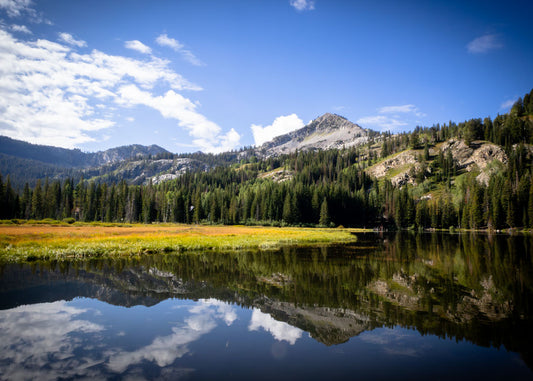Mirror Lake 5x7 photo card